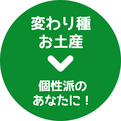 フィリピンおみやげ情報館｜変わり種お土産