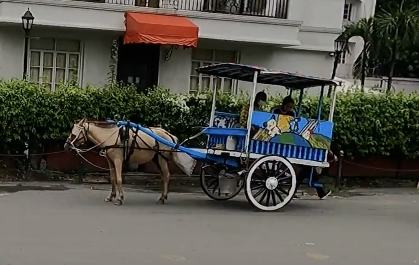 マニラふれあい街歩き【マニラ歴史地区探索ウォーキングツアー】｜ツアーイメージ画像